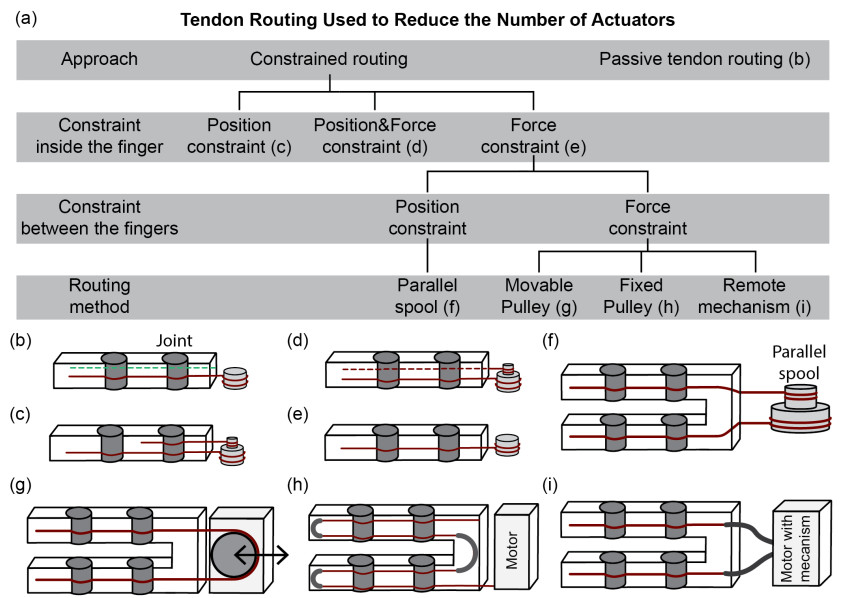 Position and Force Constraints in Underactuated Tendon-Driven Systems
